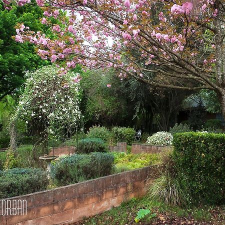 Birches Cottage & The Willows Garden Room アンダーバーグ エクステリア 写真