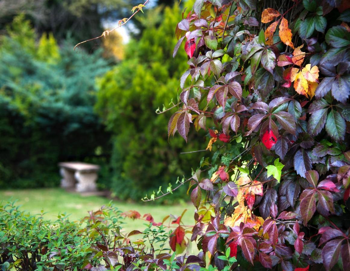 Birches Cottage & The Willows Garden Room アンダーバーグ エクステリア 写真