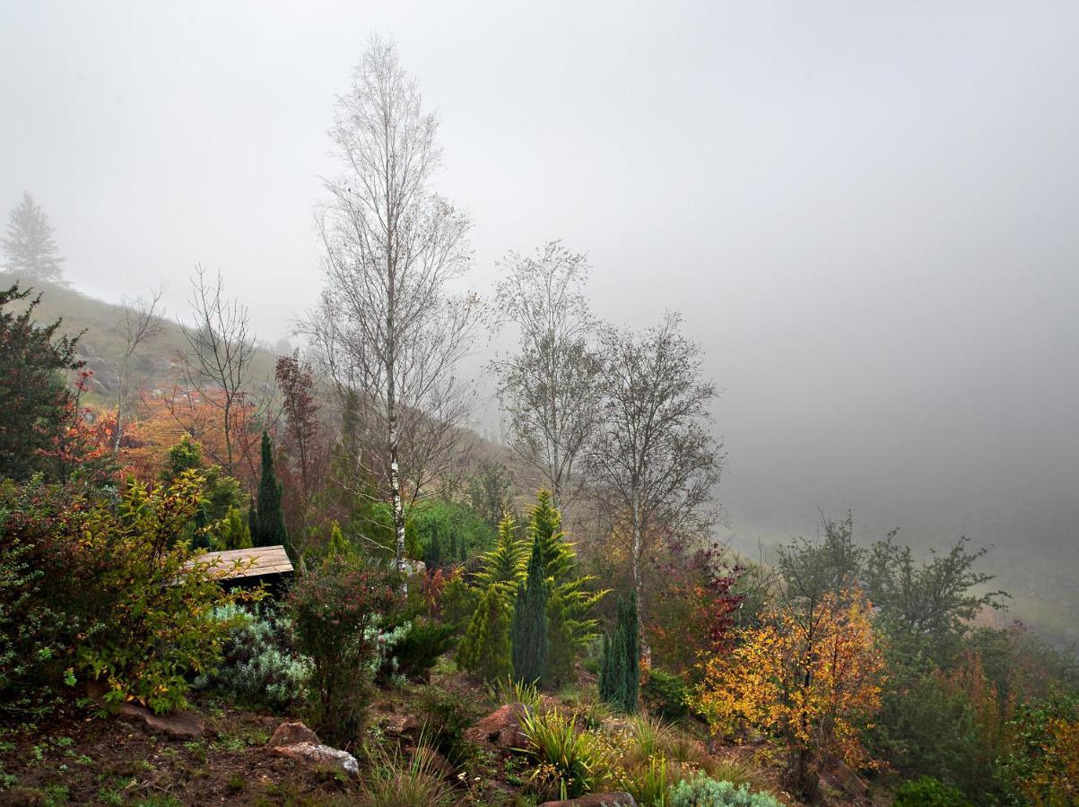 Birches Cottage & The Willows Garden Room アンダーバーグ エクステリア 写真