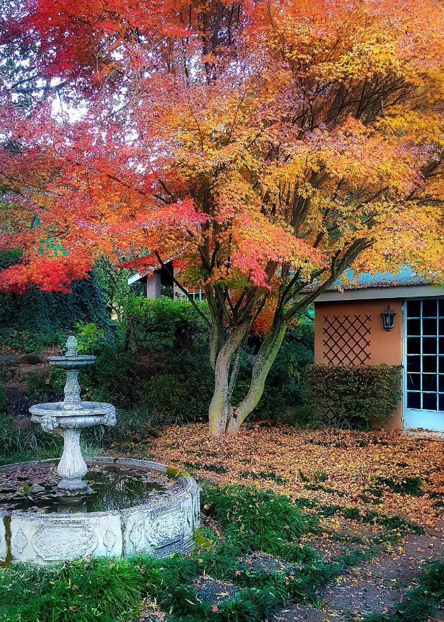 Birches Cottage & The Willows Garden Room アンダーバーグ エクステリア 写真