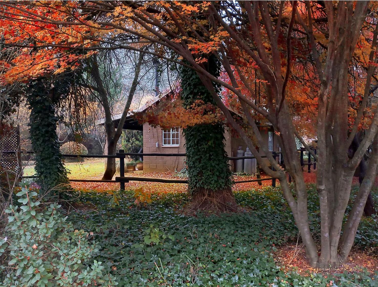 Birches Cottage & The Willows Garden Room アンダーバーグ エクステリア 写真