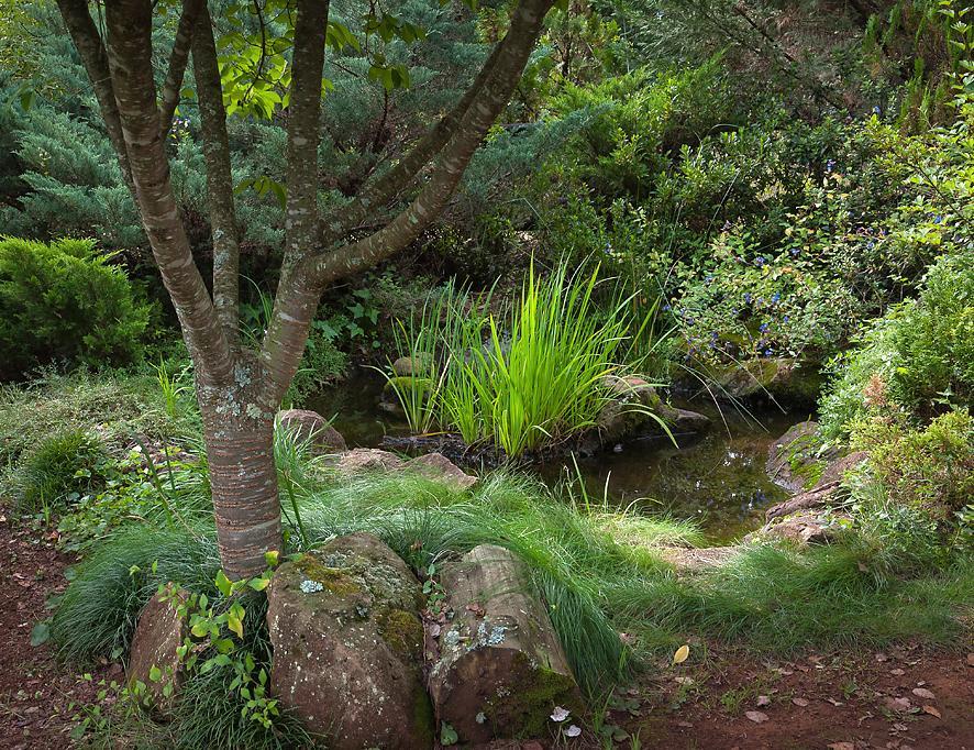 Birches Cottage & The Willows Garden Room アンダーバーグ エクステリア 写真